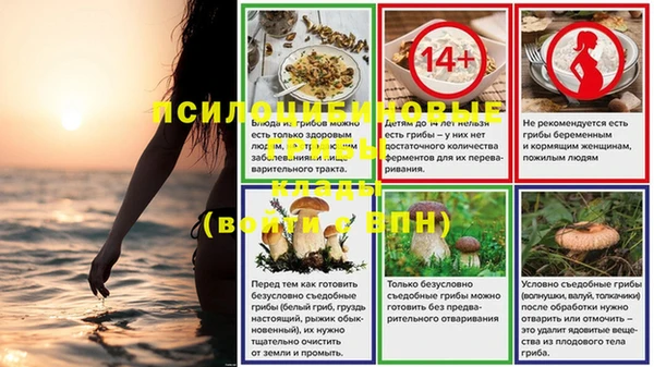 СК Белокуриха