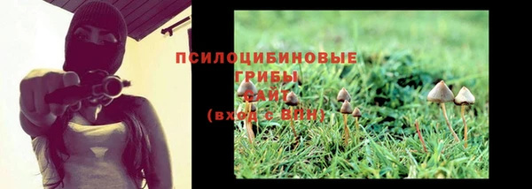 СК Белокуриха