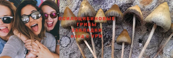 СК Белокуриха