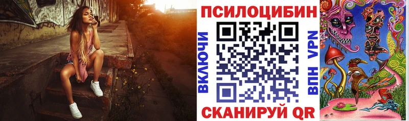 дарнет шоп  Гремячинск  Псилоцибиновые грибы мухоморы 